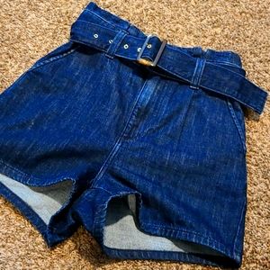 Express High Rise Denim Shorts